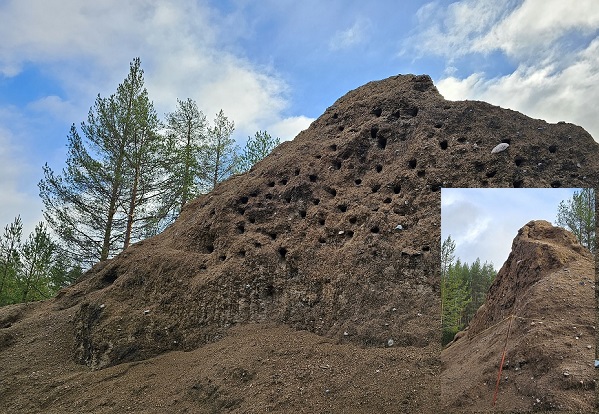 Toramon rauhoitusalue